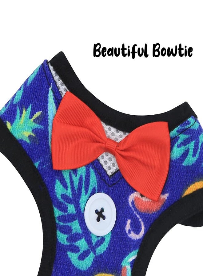 فلايان طقم فلايان ثلاثي من أحزمة ومقود القطط، سترة ناعمة قابلة للتعديل مانعة لهروب الجراء، سترة للمشي مع فيونكة للقطط الصغيرة والمتوسطة الحجم والجراء - Image 4