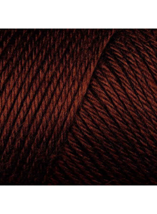 CARON , Simply Soft knitting yarn, 3 pieces, bone_parent #H97003-9750 Chocolate - Image 2