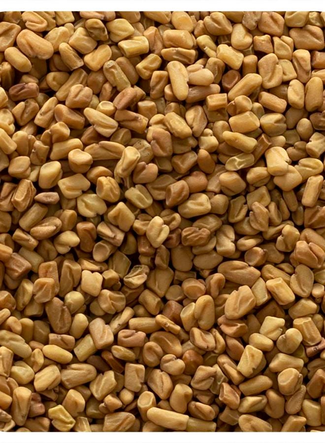 Organic Whole Fenugreek Seed 16 oz (453 g)