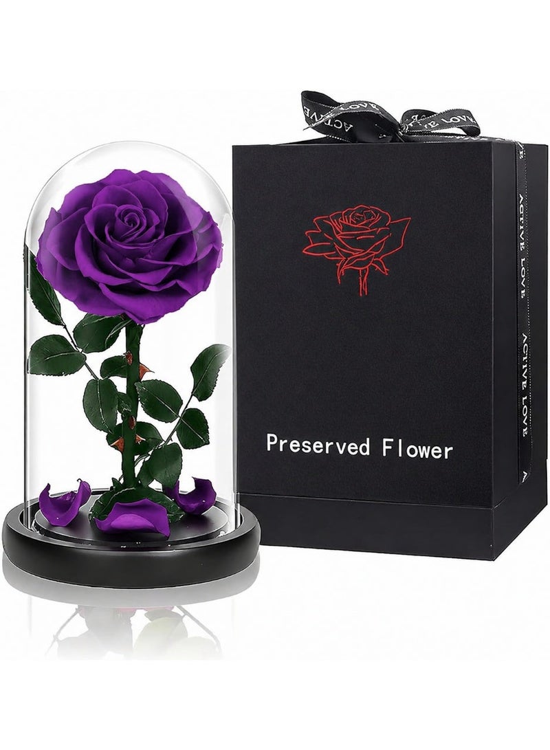 Festive Gallery Handmade Preserved Rose Forever Never Withered Flowers,Gift for Wedding,Anniversary,Birthday, Mother's Day Gift, Best Gift for Her Rose (Single Rose, PURPLE) 14x22cm - Image 1