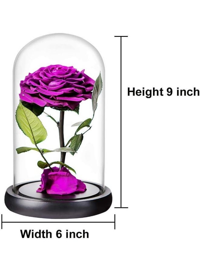 Festive Gallery Handmade Preserved Rose Forever Never Withered Flowers,Gift for Wedding,Anniversary,Birthday, Mother's Day Gift, Best Gift for Her Rose (Single Rose, PURPLE) 14x22cm - Image 4