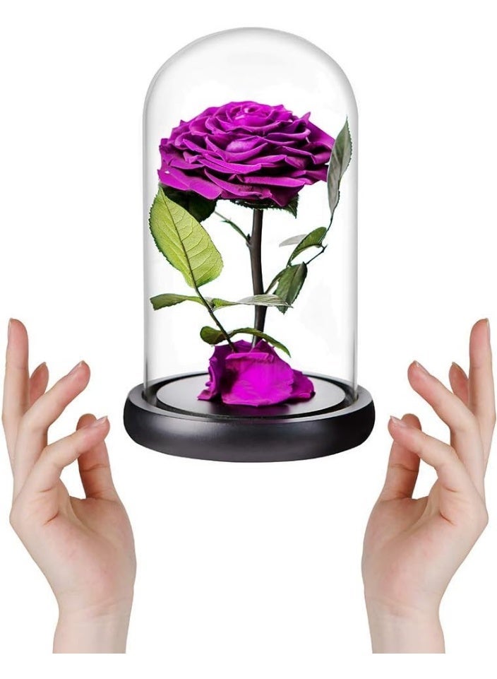 Festive Gallery Handmade Preserved Rose Forever Never Withered Flowers,Gift for Wedding,Anniversary,Birthday, Mother's Day Gift, Best Gift for Her Rose (Single Rose, PURPLE) 14x22cm - Image 3