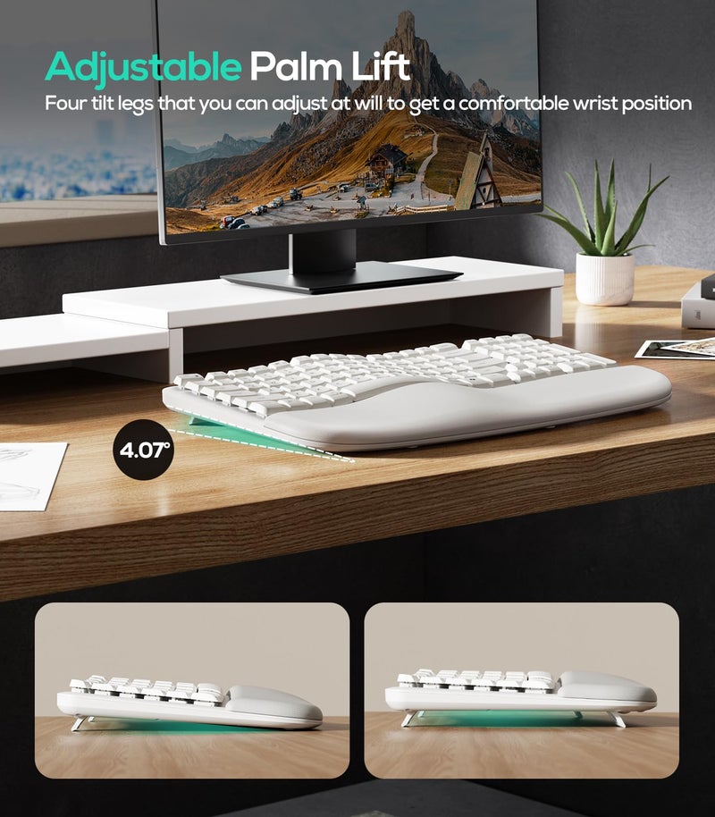 Nulea RT08 Wave Keys Wireless Ergonomic Keyboard with Cushioned Palm Rest, 2.4GHz Ergo Cordless USB Computer Keyboard, Comfortable Natural Typing, for Laptop, Mac, Windows (White) - Image 5