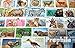 Prophila Collection Africa 100 Various African Animals Stamps Stamps for Collectors Other Mammals MonkeysDinosaursElephants - Image 3