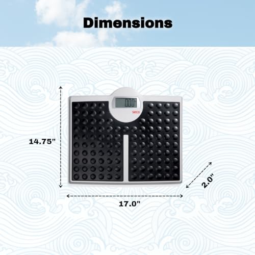 seca 813 - High Capacity Digital Flat Scale for Individual Patient use - Image 3