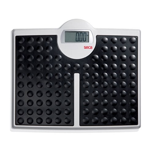 seca 813 - High Capacity Digital Flat Scale for Individual Patient use - Image 1
