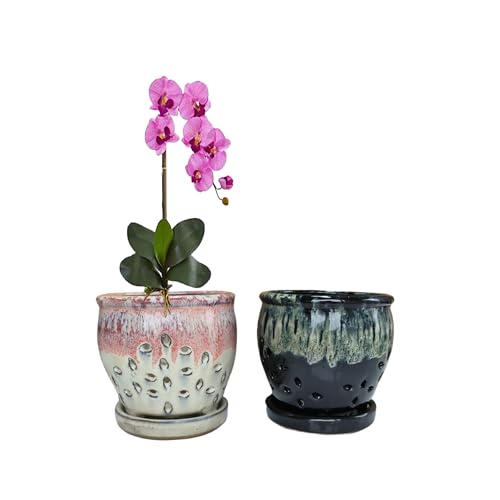 Beitewei 2PCS Small Ceramic Orchid Planter Pots with Holes 433inch Ceramic Planters for Orchid RepottingBlackWhite