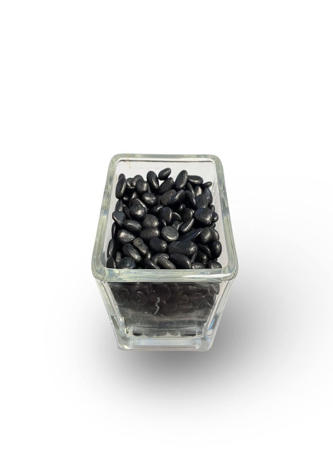 WGVI WGV Mini Black Rock Pebbles, 1 lb, Decorative Ornamental Gravel Stone, Accent Vase Filler for Landscaping, Succlents, Aquarium and Terrarium, Crafting for Home Decor, 1 Plastic Bag - Image 3