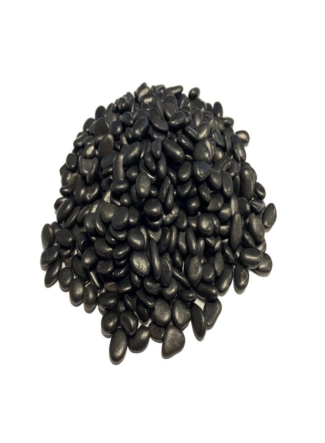 WGVI WGV Mini Black Rock Pebbles, 1 lb, Decorative Ornamental Gravel Stone, Accent Vase Filler for Landscaping, Succlents, Aquarium and Terrarium, Crafting for Home Decor, 1 Plastic Bag - Image 4