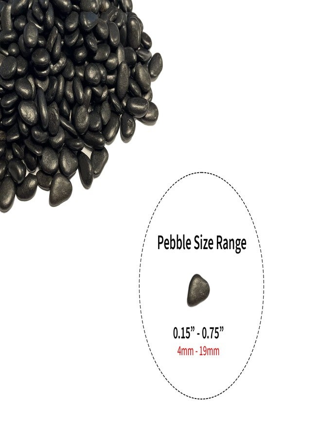 WGVI WGV Mini Black Rock Pebbles, 1 lb, Decorative Ornamental Gravel Stone, Accent Vase Filler for Landscaping, Succlents, Aquarium and Terrarium, Crafting for Home Decor, 1 Plastic Bag - Image 2