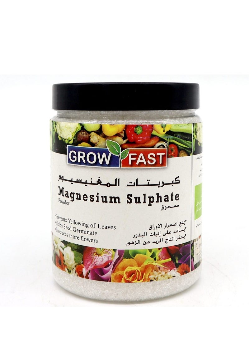 GrowFast - Grow Fast Magnesium Sulphate Powder Commonly Known as Epsom Salt is a Premium Quality Versatile Fertilizer Designed to Provide Essential Magnesium and Sulfur to Plants 1kg Package is Ideal for Enhancing Plant Health and Improving Growth. - Image 1