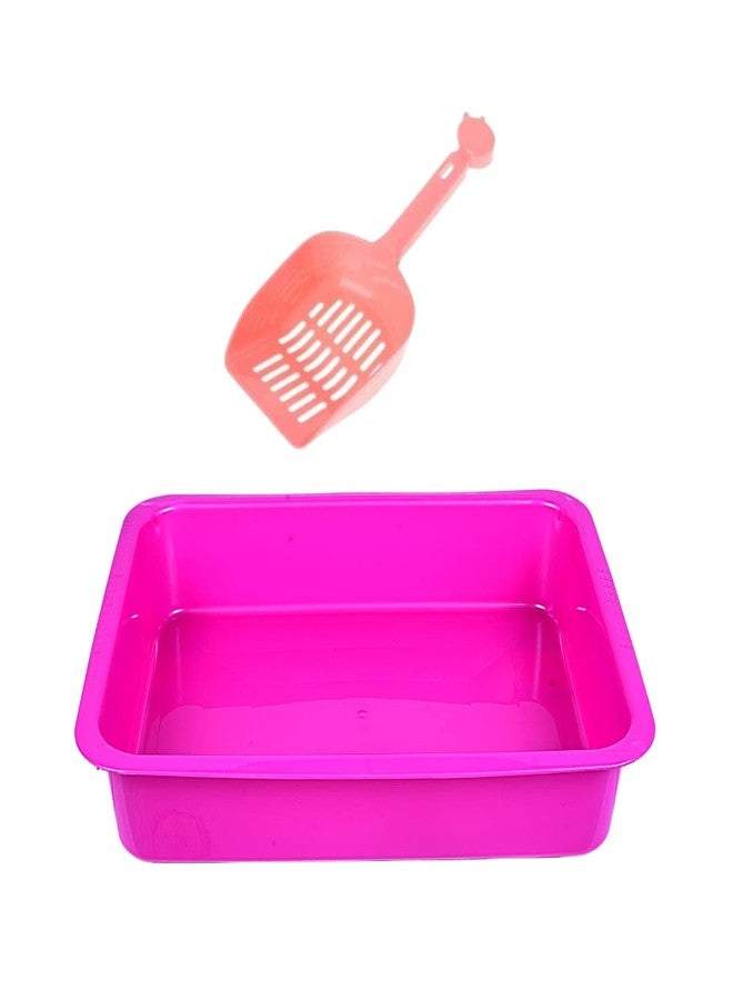 D&C PAWS Pro Cat Litter Tray + Scooper - Premium Virgin Quality Cat Litter Accessories Multi-Colored (02Pcs Set) - Image 1