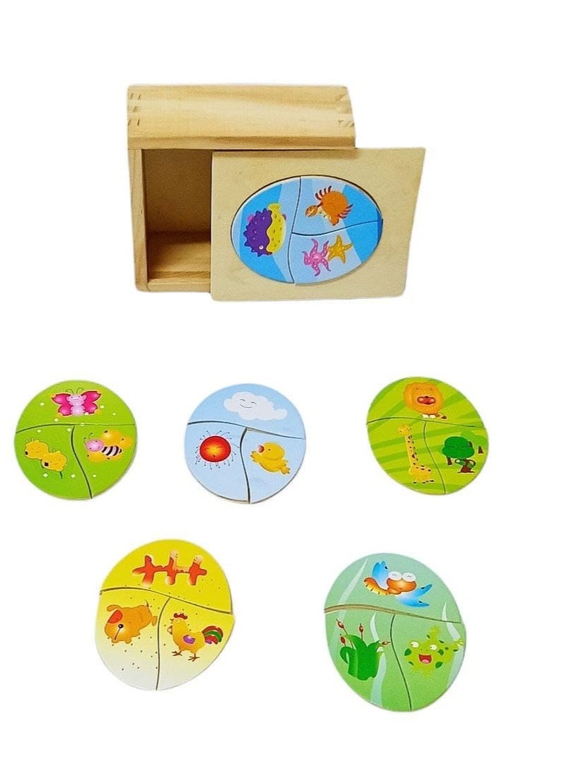 Children's toy, relationship puzzle game from Al Safwa Toys