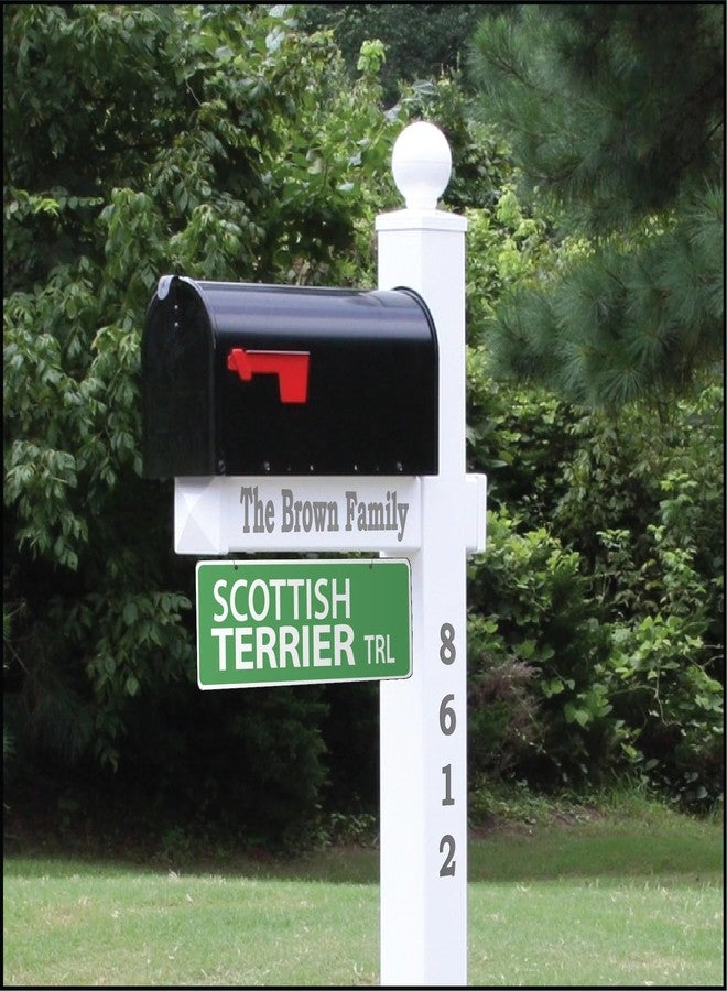 Imagine This Scottish Terrier Street Sign - Image 3