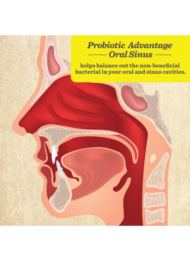 Healthy Directions - Healthy Directions Dr. Williams, Probiotic Advantage, Oral Sinus, Natural Cinnamon Flavor, 50 Lozenges - Image 1