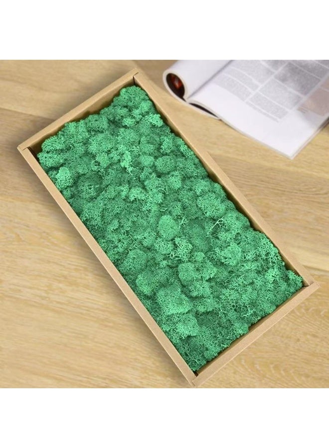 RYK-Natural Preserved Dried Reindeer Lichen Moss， Handmade, elegant moss wall decoration - zero maintenance, perfect for home, office, and wedding venues - Image 1