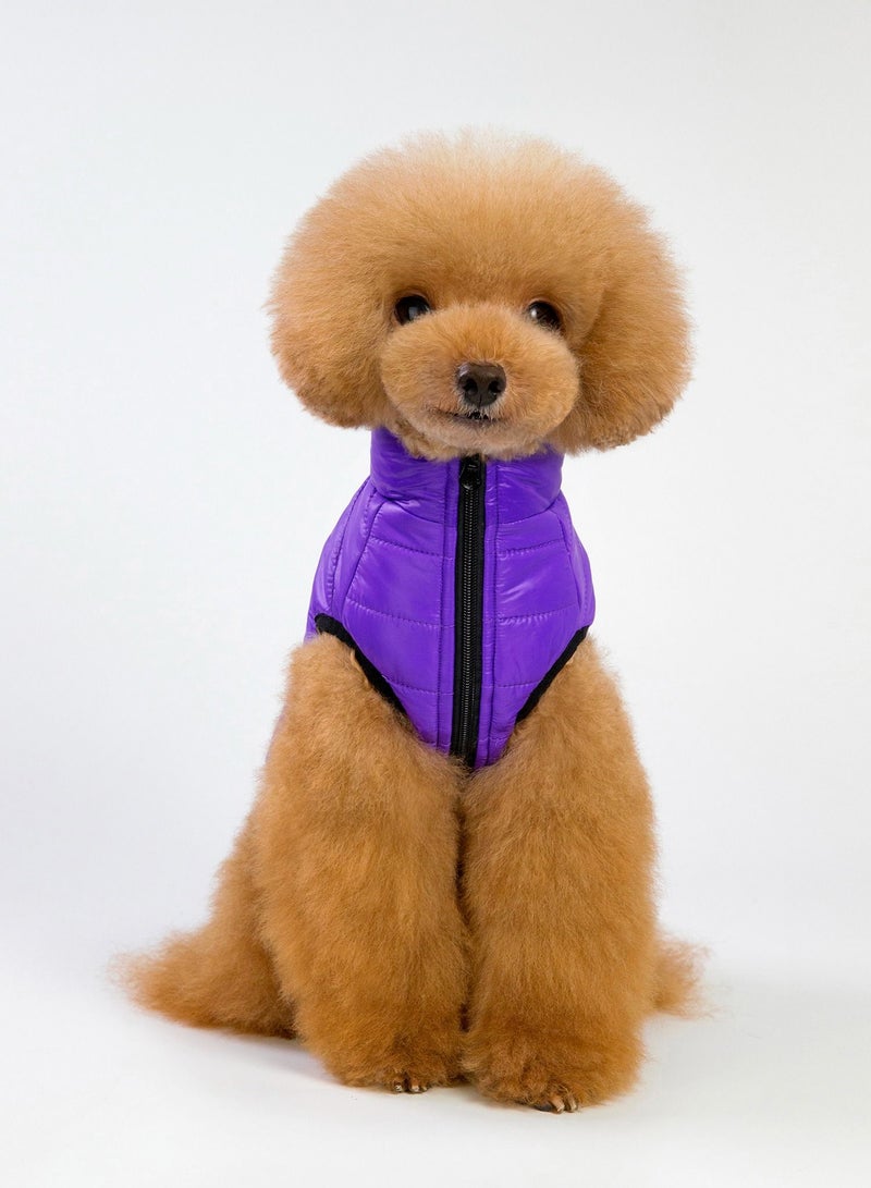 Loquat Pet clothes with thick coats Purple - Image 1