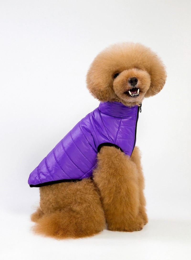 Loquat Pet clothes with thick coats Purple - Image 2