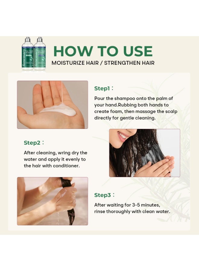 روزماري باريس مجموعة شامبو وبلسم إكليل الجبل وشجرة الشاي وإكليل الجبل، 300 مل - ينظف ويوازن فروة الرأس، يقوي ويزيد كثافة الشعر، للعناية بالشعر الدهني - Image 2