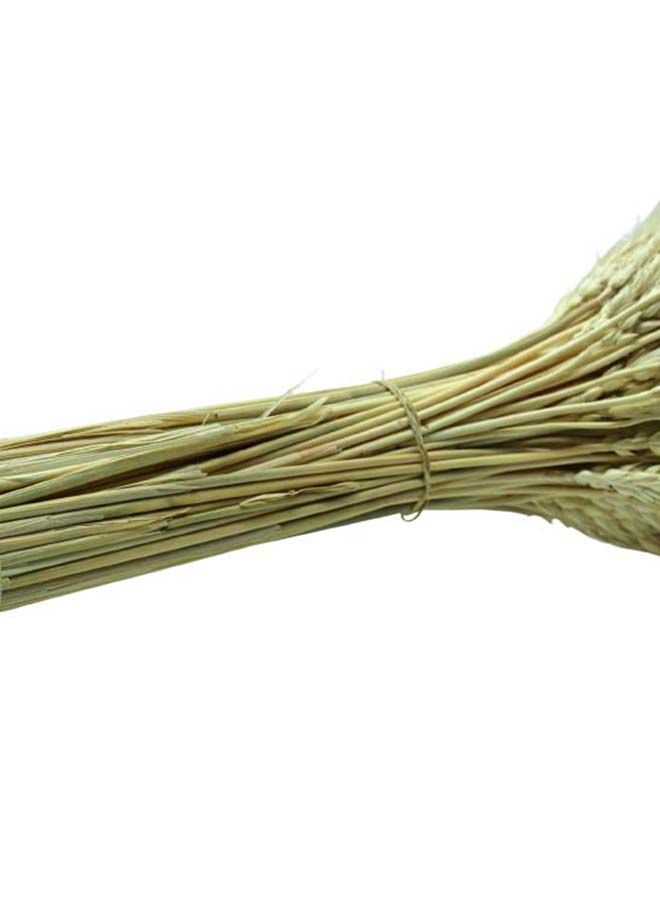 FANCY FLOWERS Natural Dried Multi-Coloured Wheat Grass Bouquet Bundle (50, Natural) - Image 4