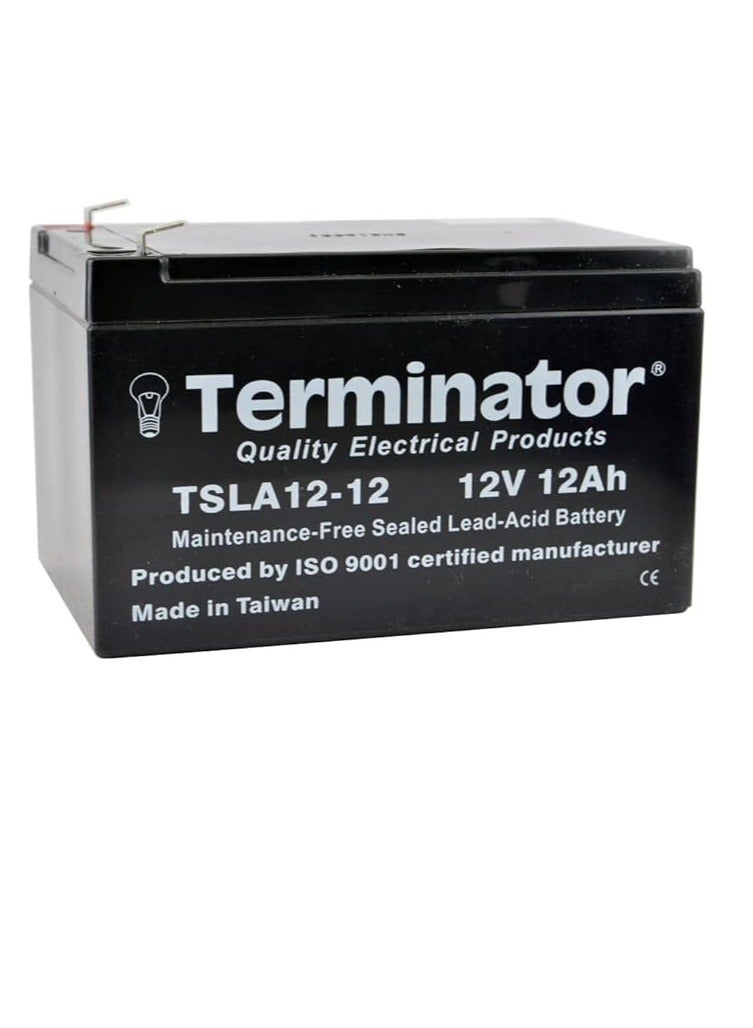 Terminator Rechargeable Sealed Lead Acid Battery 12Volts -12Ah (Taiwan)