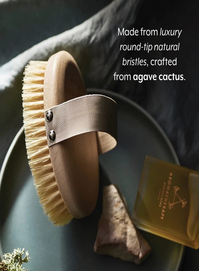 Aromatherapy Associates Revive Body Brush, Natural Dry Brush to Exfoliate Skin and Boost Circulation, Cellulite Brush Made of Natural and Sustainable Materials (1 Count) - Image 4