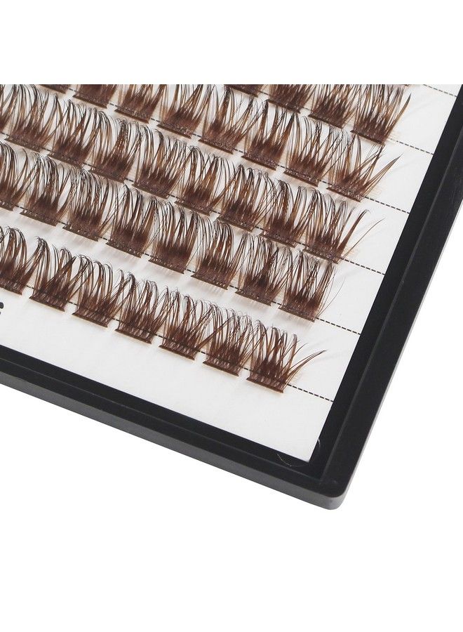 Hannahool 120Pcs D Curl Individual Wide Stem Brown Cluster Diy Eye Lashes Extensions Mixed 1214Mm/1416Mm/1618Mm Makeup Dramatic Volume Lashes (Brown1214Mm) - Image 4