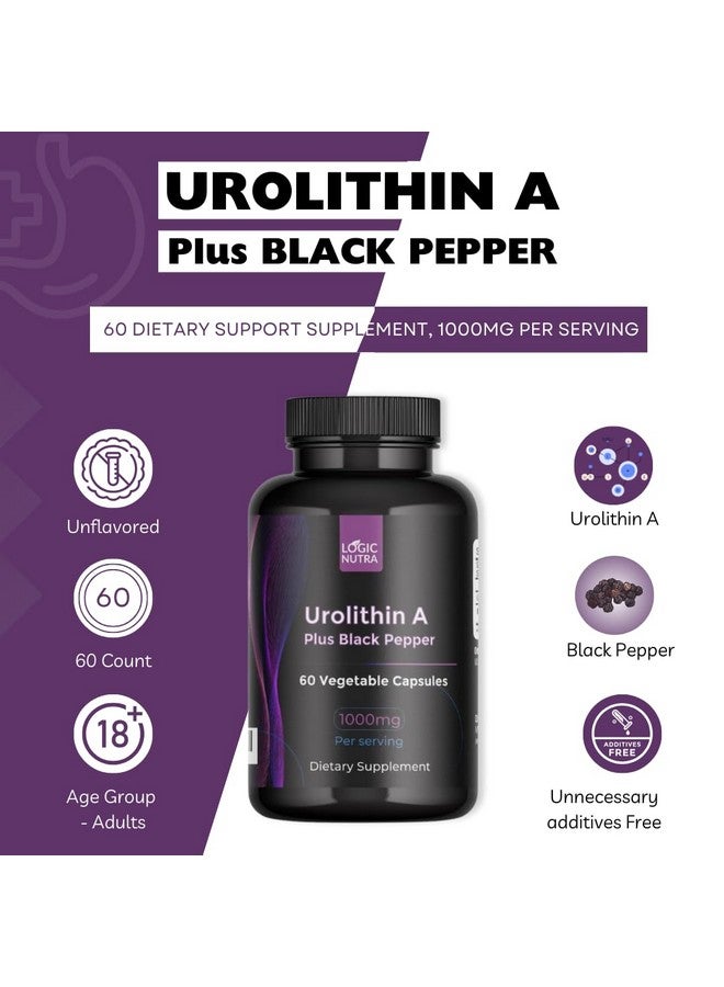 Logic Nutra لوجيك نوترا يوروليثين أ بلس مستخلص الفلفل الأسود - 1000 ملغ لكل حصة - غير معدّل وراثيًا، نباتي وخالي من الغلوتين - 60 كبسولة نباتية - مكمل غذائي - Image 2