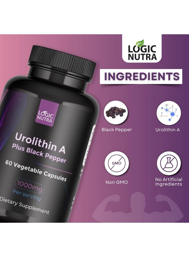 Logic Nutra لوجيك نوترا يوروليثين أ بلس مستخلص الفلفل الأسود - 1000 ملغ لكل حصة - غير معدّل وراثيًا، نباتي وخالي من الغلوتين - 60 كبسولة نباتية - مكمل غذائي - Image 4