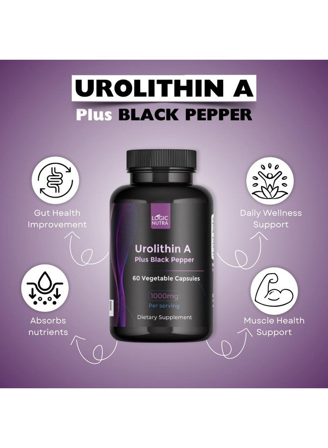 Logic Nutra لوجيك نوترا يوروليثين أ بلس مستخلص الفلفل الأسود - 1000 ملغ لكل حصة - غير معدّل وراثيًا، نباتي وخالي من الغلوتين - 60 كبسولة نباتية - مكمل غذائي - Image 3