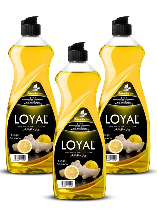 لويال سائل غسيل الأطباق لويال ٥ في ١ - زنجبيل وليمون ٢ × ٧٠٠ مل