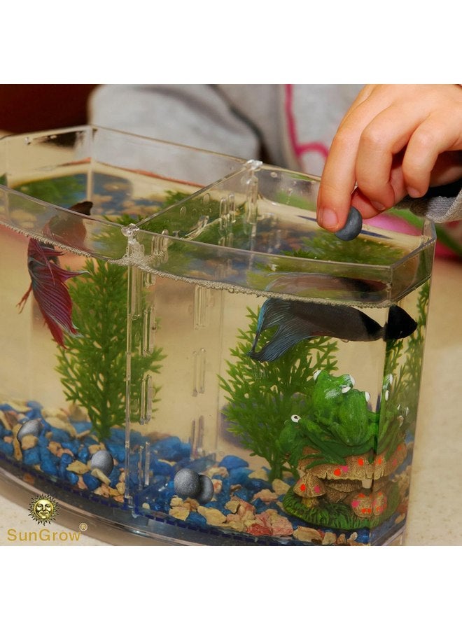 SunGrow Calcium-Rich Balls for Betta, Water Conditioner with Over 30 Beneficial Elements, Freshwater Fish Tank Decorations, 10 Pcs per Pack - Image 3