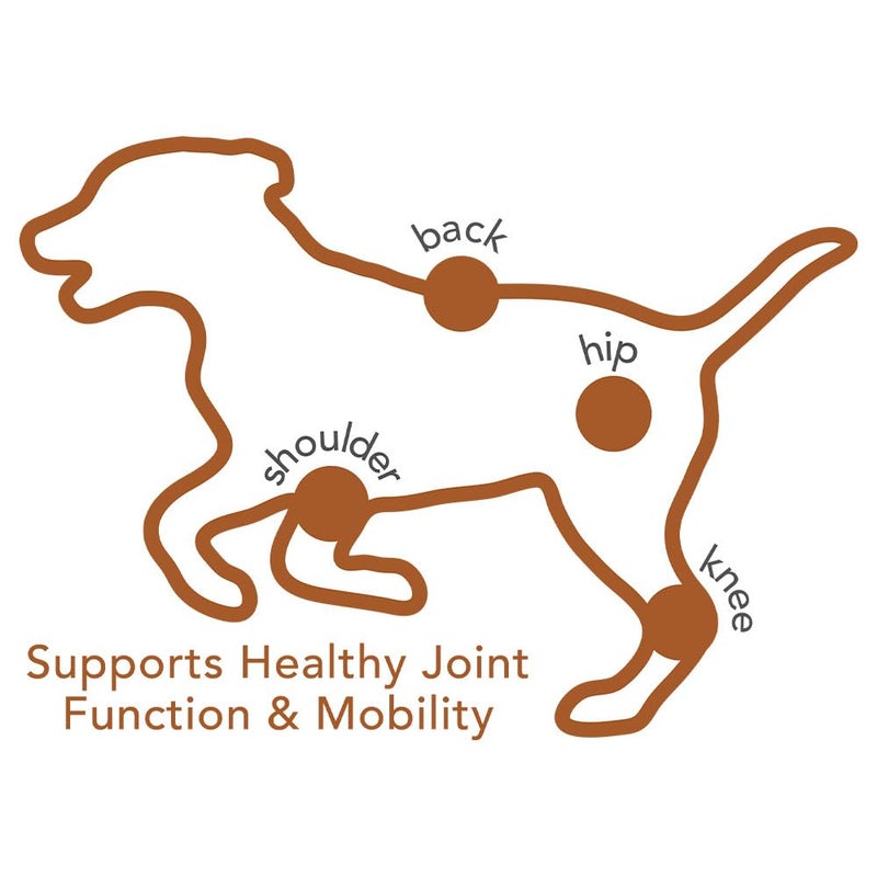 Vet's Best Advanced Hip & Joint Soft Chew Dog Supplements - Formulated with Glucosamine and Chondroitin to Support Dog Joint and Cartilage Health -30 Day Supply - Image 4