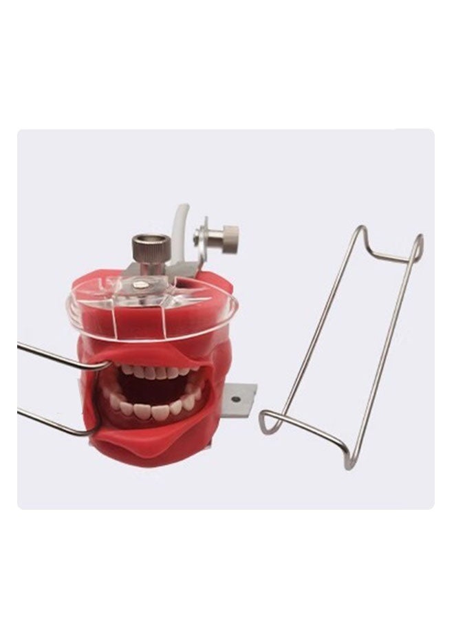 Realfrog Dental Cheek Retractor, Professional Autoclavable Mouth Opener Retractors, for Dentist, Teeth Whitening, Party, Mouthguard Challenge Game Cheek Retractor  - Image 2