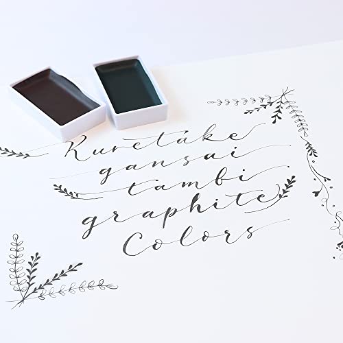 Kuretake GANSAI TAMBI GRAPHITE COLORS, 6 colors set, Watercolor paint for Professional, for artists and crafters,Illustrations, Drawing, Lettering, Made in Japan - Image 2