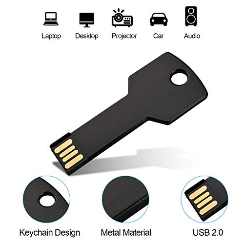 RAOYI 10 Pack 2GB USB Flash Drive USB 2.0 Metal Key Shape Memory Stick Thumb Drive Pen Drive-Black - Image 2