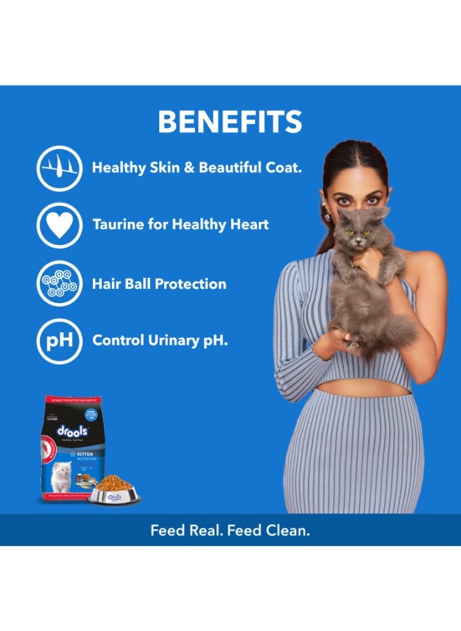 Kitten Dry Cat Food Mackerel 1kg