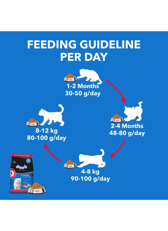 Kitten Dry Cat Food Mackerel 1kg