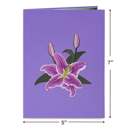 Paper Love 3D Purple Lilies Pop Up Card, Gift for Birthday, Wedding, Anniversary, Thank You, Get Well, All Occasion or Just Because - 5" x 7" Cover - Includes Envelope and Note Tag - Image 2
