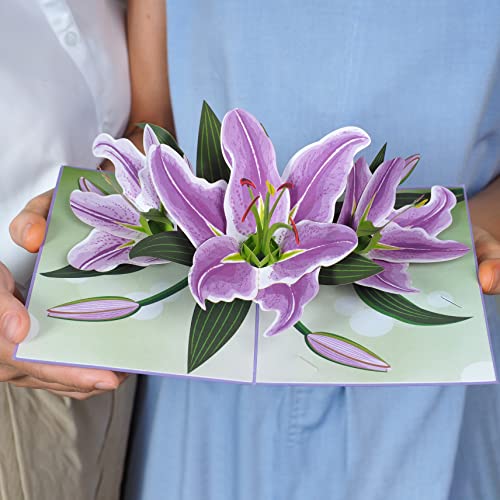 Paper Love 3D Purple Lilies Pop Up Card, Gift for Birthday, Wedding, Anniversary, Thank You, Get Well, All Occasion or Just Because - 5" x 7" Cover - Includes Envelope and Note Tag - Image 4