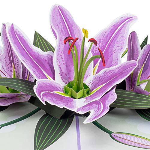 Paper Love 3D Purple Lilies Pop Up Card, Gift for Birthday, Wedding, Anniversary, Thank You, Get Well, All Occasion or Just Because - 5" x 7" Cover - Includes Envelope and Note Tag - Image 1