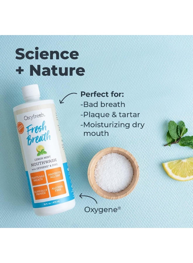 Oxyfresh 473 ml Power Rinse with Lemon-Mint Mouthrinse - Image 4