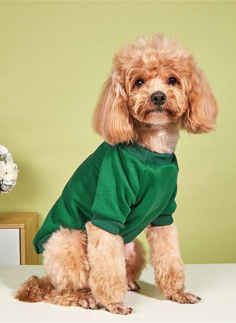 Loquat ملابس دافئة للحيوانات الأليفة من سكوالتي لفصل الخريف والشتاء باللون الأخضر - Image 1