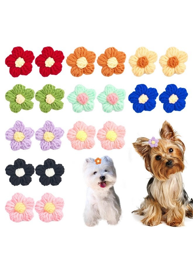 PET SHOW 10Pairs/Pack Flower Dog Hair Bows for Small Medium Dogs Yorkie Girl Boy Flower Bows with Rubber Band Doggies Cat Grooming Hair Accessories for Party Birthday - Image 1