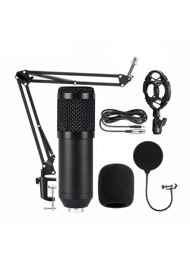 KUYING New Professional Home KTV Singing Recording Home Karaoke Microphone 