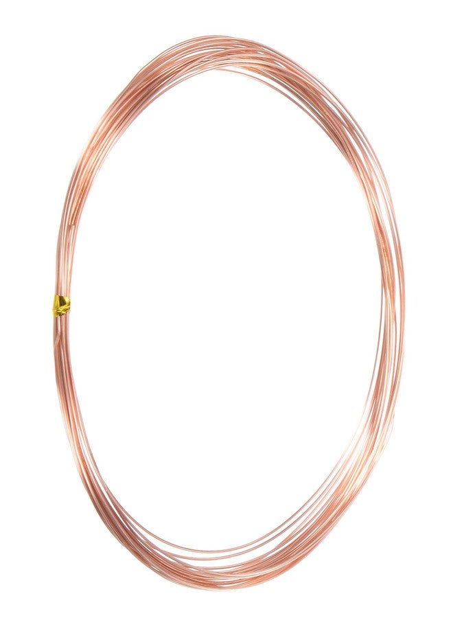 M METERXITY 99.9% Soft Copper Wire, 24 Gauge 16FT Pure Copper Wire for DIY Crafting/Jewelry Making/Gardening Plant/Beading, Craft Wire [0.5mm, 5M] - Image 1