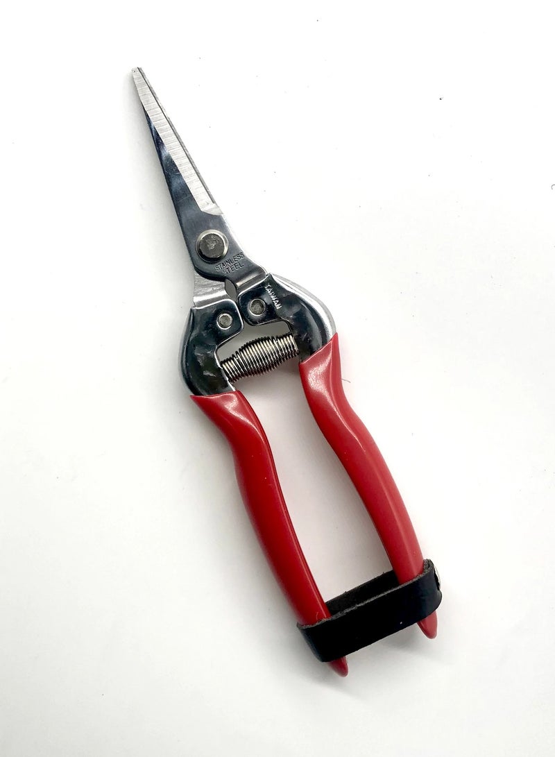 mashtal Needle Nose Pruning Shears 