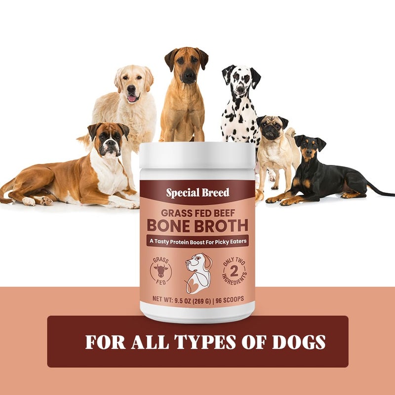 Special Breed Bone Broth Powder for Dogs and Cats - Dog and Cat Food Topper, Grass Fed Beef Broth Supplement, 9.5 oz - Image 5