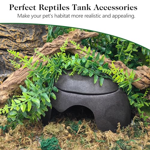 VCEPJH 2 Pack Reptile Wood Branches Snake Climbing Branch Natural Bearded Dragon Log Tank Accessories Tree Trunk for Chameleon Gecko Snake Frog Spider - Image 3