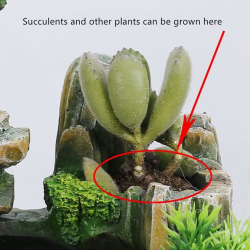 Xshelley Indoor Tabletop Fountains ， Rockery, Water, Waterfall, Plants, Desktop Fountain, atomizing humidifier Fountain, Home Office Desktop Decorations, Automatic Pump with Power Switch - Image 5